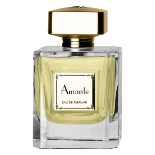 عطر و خوشبو کننده